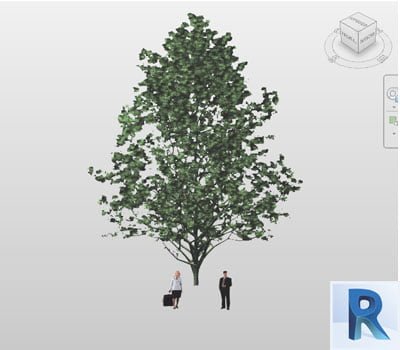 arbol revit