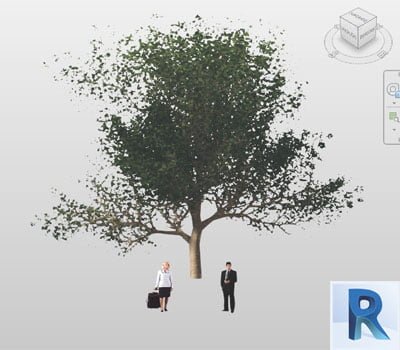 arbol revit