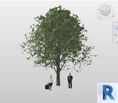 arbol revit