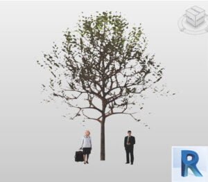 arbol revit