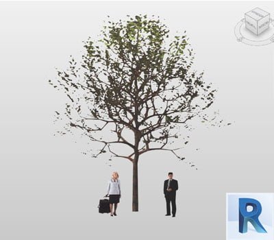 arbol revit