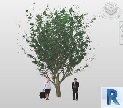 arbol revit