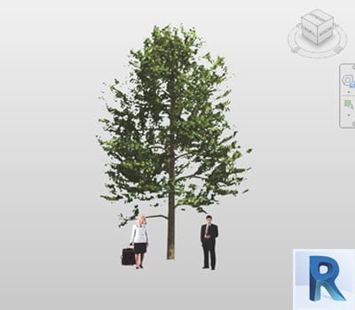 arbol revit